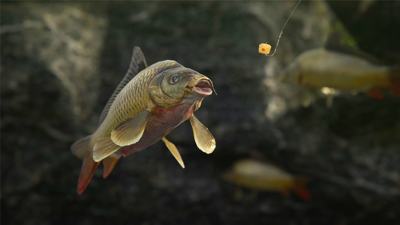 《人渣》v1.1.0.2.99989中文版-MOD-DLC_单机游戏