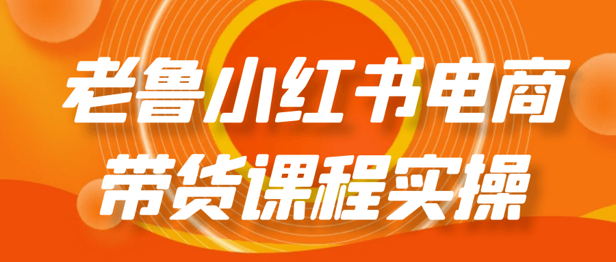 老鲁小红书电商带货课程实操-MOD-DLC_单机游戏