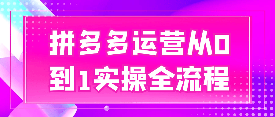拼多多运营从0到1实操全流程-MOD-DLC_单机游戏