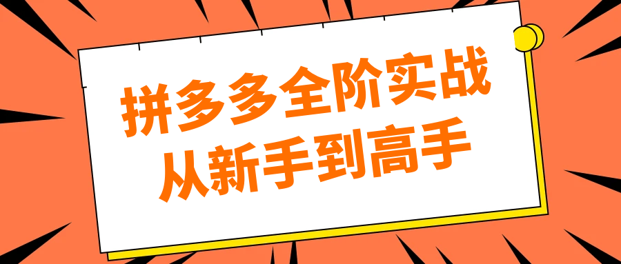 拼多多全阶实战从新手到高手-MOD-DLC_单机游戏