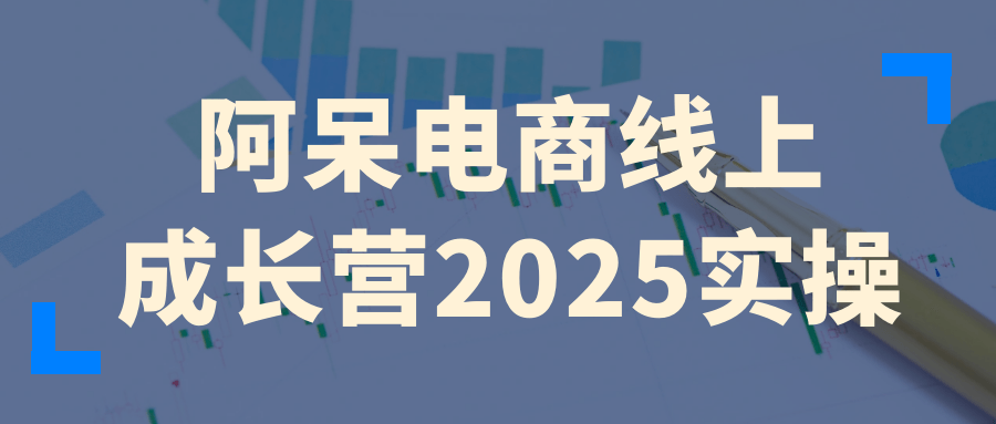 阿呆电商线上成长营2025实操-MOD-DLC_单机游戏