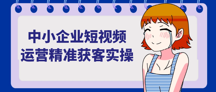 中小企业短视频运营精准获客实操-MOD-DLC_单机游戏