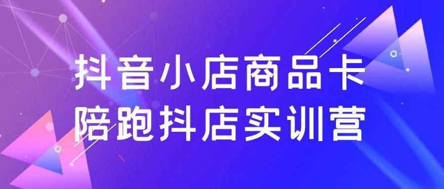 抖音小店商品卡陪跑抖店实训营-MOD-DLC_单机游戏