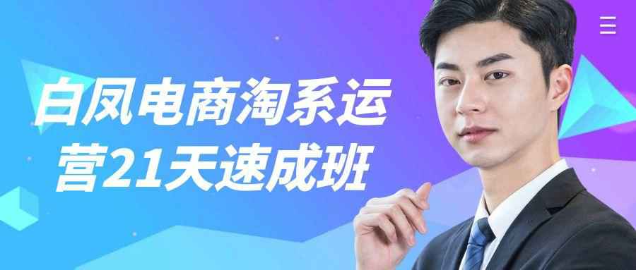 白凤电商淘系运营21天速成班-MOD-DLC_单机游戏