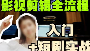 莱尼日记影视剪辑全流程入门+短剧实战课-MOD-DLC_单机游戏