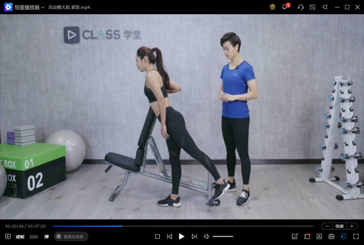 keep运动健身 付费class 会员精讲-MOD-DLC_单机游戏