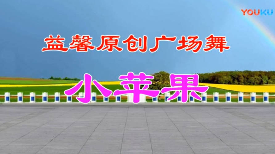 广场舞视频教学500首-MOD-DLC_单机游戏