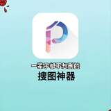 【分享】搜图神器永久svip版🔥全网高清美图一网打尽🔥_精品手机资源