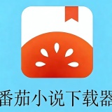 【分享】番茄小说下载器🍅一键下载番茄小说🔥支持批量下载🔥_精品手机资源