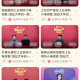 【分享】BliPai🔥轻量化B站客户端🔥简洁流畅无冗余🔥_精品手机资源