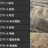 【分享】CCWebTv 1.8.3📺新出网页电视直播⭕永久可用_精品手机资源