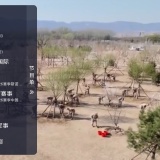 【分享】咪咕TV🔥电视直播🔥TV直播🔥央视卫视全涵盖🔥_精品手机资源