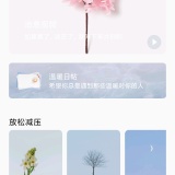 【绿化】早安声音🔥助眠白噪音🔥改善睡眠超治愈🔥_精品手机资源