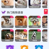 【原创解锁】啵啵猫狗语音🔥解锁会员🔥宠物语音翻译养宠工具🔥_精品手机资源