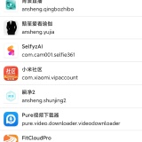 【原创绿化】APP分析器🔥绿化版🔥应用信息解析查看工具🔥_精品手机资源