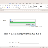 WPs Otfice 2023专业增强版_精品手机资源