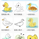 【原创解锁】简笔画师🔥解锁会员🔥海量教程自由手绘创作🔥_精品手机资源