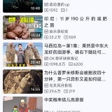 【分享】哔哩猫修改版🔥最强B站第三方🔥极速无广告畅看_精品手机资源