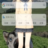 【合集】五款🐮到炸浏览器｜支持扩展｜任意浏览_精品手机资源